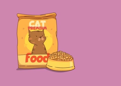 Kucing tidak mau makan? Awas Bahaya! Ini 8 Penyebab dan Penanganannya