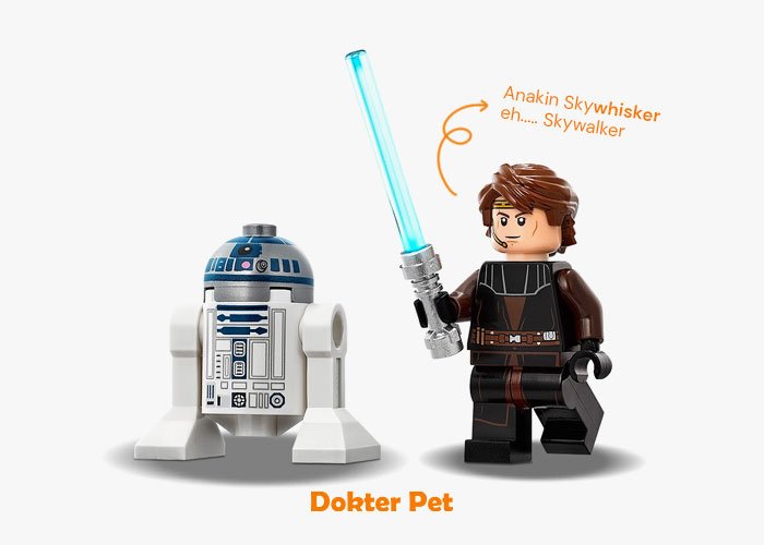 nama kucing lucu dan unik, Skywalker jadi Skywishker