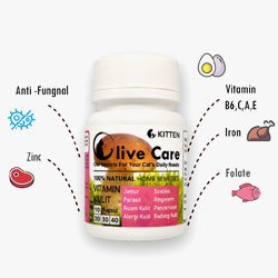 olive care anti jamur - Coba 3 Cara Rahasia Ini Untuk Melakukan Pengobatan Ringworm pada Kucing