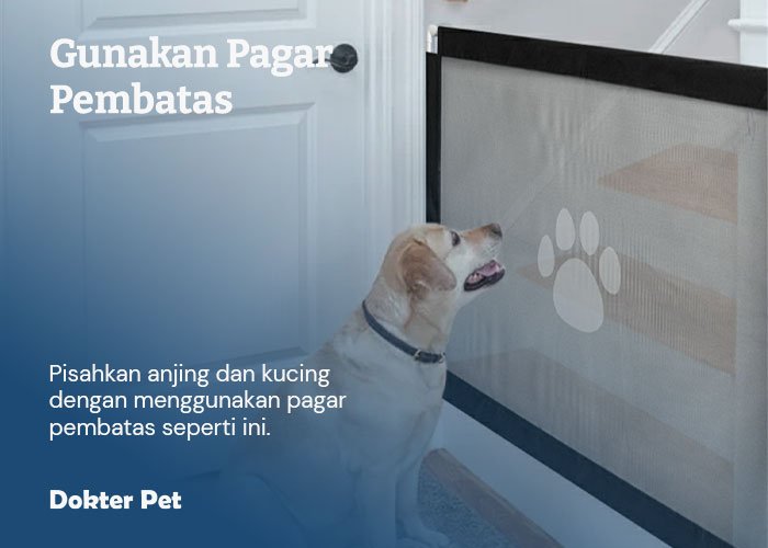 pagar pembatas untuk memisahkan anjing dan kucing