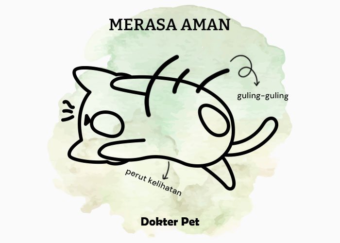 bahasa tubuh kucing aman - Mau lebih akrab dengan anabul? Kenali 34 bahasa tubuh kucingmu!