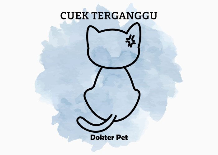 bahasa tubuh kucing cuek - Mau lebih akrab dengan anabul? Kenali 34 bahasa tubuh kucingmu!