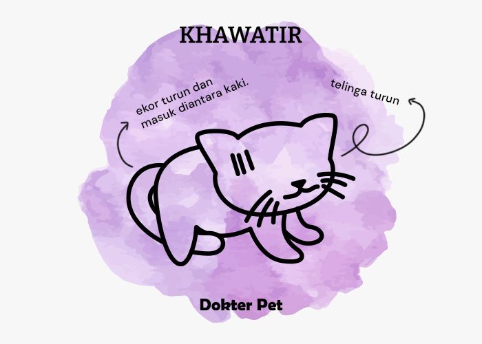 bahasa tubuh kucing khawatir - Mau lebih akrab dengan anabul? Kenali 34 bahasa tubuh kucingmu!