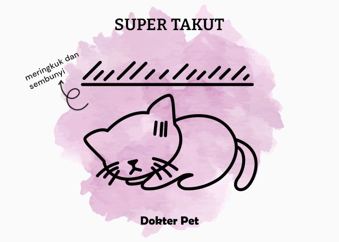 bahasa tubuh kucing super takut - Mau lebih akrab dengan anabul? Kenali 34 bahasa tubuh kucingmu!