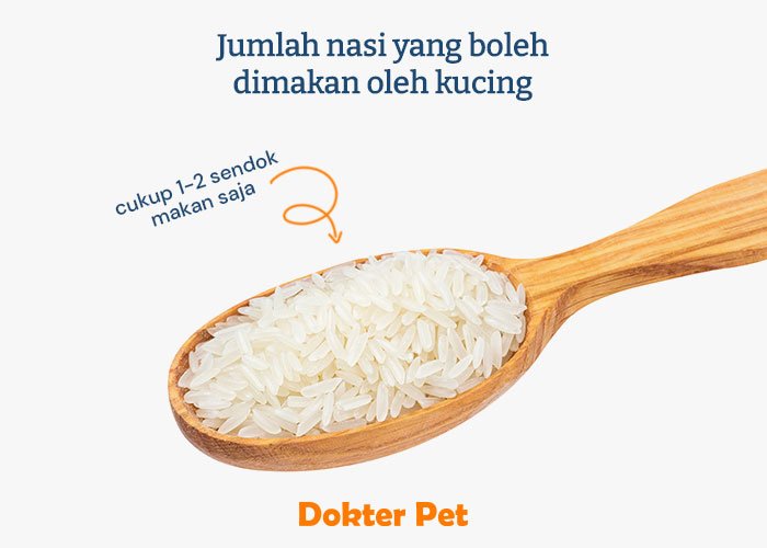 jumlah nasi yang boleh dimakan oleh kucing