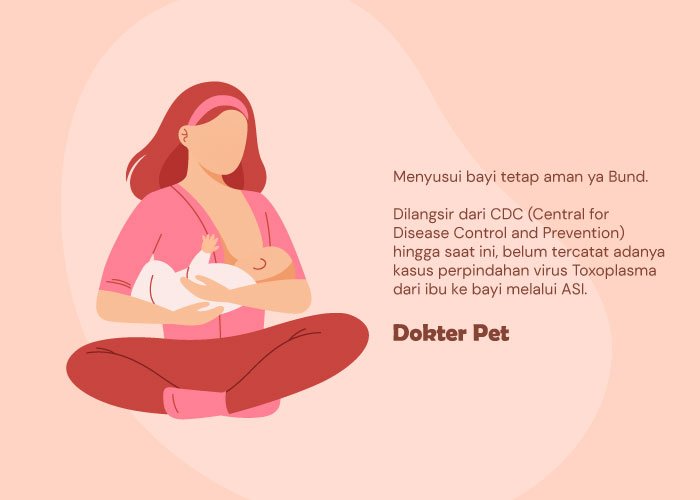 menyusui bayi tidak menularkan virus toxoplasma