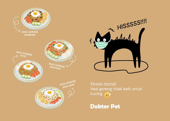 nasi goreng tidak boleh dimakan kucing - Boleh Nggak Sih Kucing Makan Nasi?