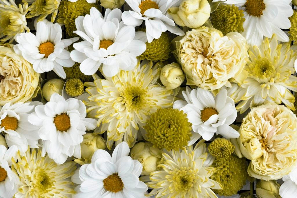 top view beautifully colored flowers - Awas! Ini dia 10 bunga beracun untuk kucing! Mana yang kamu punya?