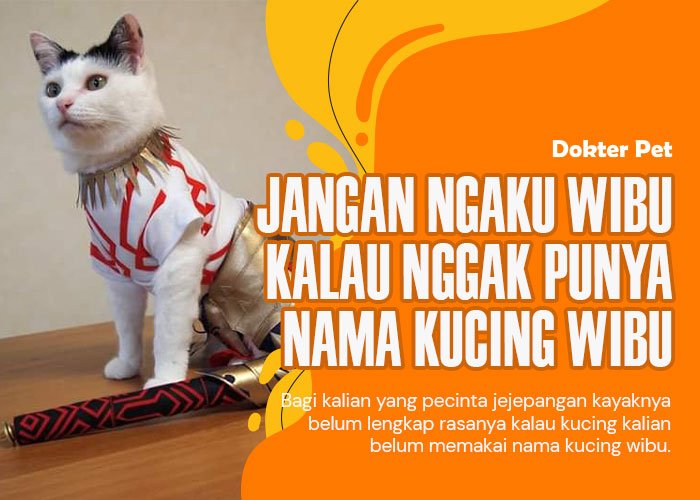 Yuk awali keceriaan tahun baru 2024 kamu dengan nama kucing wibu!