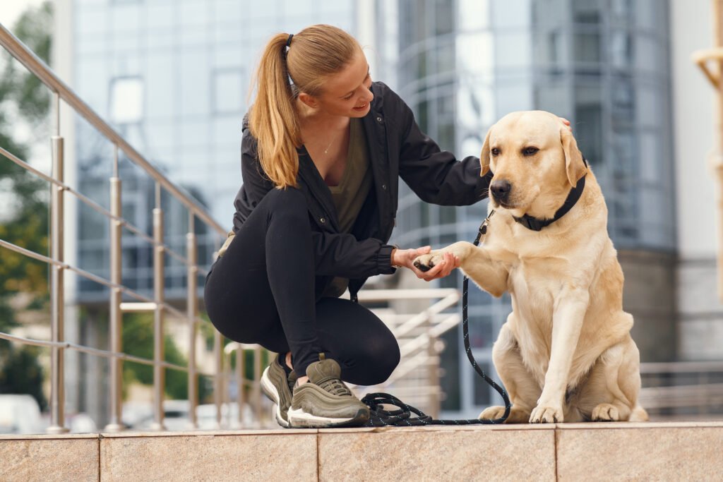 portrait woman with her beautiful dog - Majikan meninggalkan anjing mereka: Alasan di balik tindakan menyedihkan ini