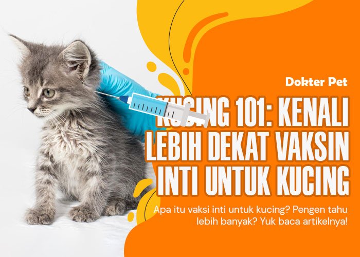 Vaksin Inti untuk kucing: Kenali lebih dekat pelindung kesehatan hewan kesayanganmu