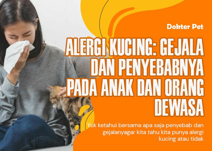 Alergi Kucing pada Orang Dewasa dan Anak-Anak: Gejala dan Penyebabnya