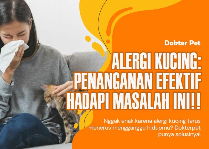 Alergi Kucing: Bagaimana Mencegah dan Mengurangi Risiko Terkena Alergi