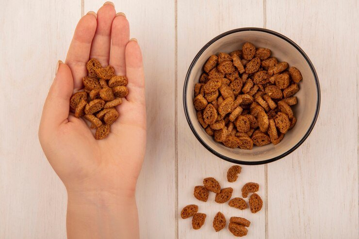 top view female hand holding small rye rusks with bowl rye rusks beige wooden table 141793 88663 - Tips Merawat Kucing Senior: 10 Hal yang Harus Dilakukan Pemilik